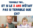 Formation par la poste et en ligne Germaction - Terrible two enfants 2 ans - 3 heures de perfectionnement